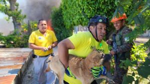 Fotos: Rescatan a perrito de incendio en comunidad La Fosa