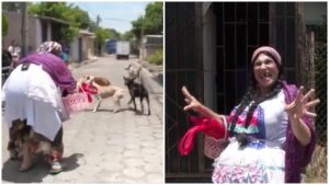 VIDEO: Así fue el momento cuando la Tenchis Céliber se enfrentó con jauría de perros