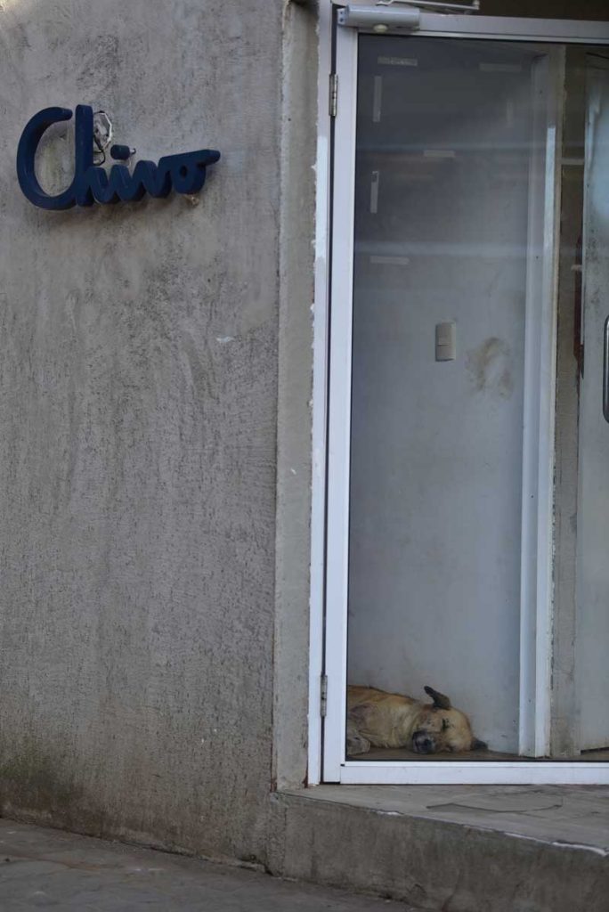 Un perro duerme al interior de la caseta de un cajero Chivo Wallet en Izalco, Sonsonate. FOTO EDH JONATAN FUNES