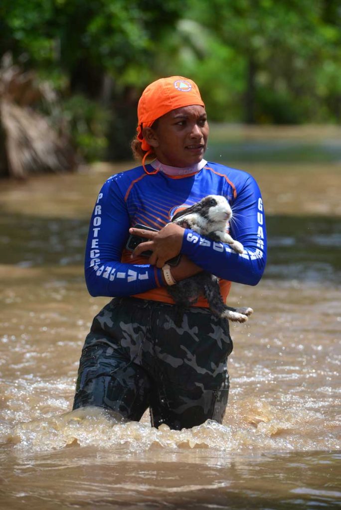 Una socorrista voluntaria de Protección Civil rescata a un conejo en las comunidades inundadas en Puerto Parada, Usulután, por el desbordamiento del río Grande de San Miguel provocado por la tormenta Julia. FOTO EDH YESSICA HOMPANERA