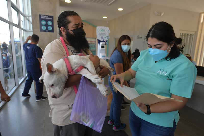 Un hombre desesperado llega a la veterinaria Chivo Pets con su mascota en mal estado durante los primeros días de apertura de las instalaciones. FOTO EDH JONATAN FUNES