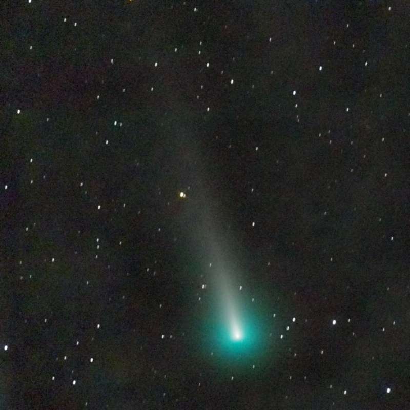 Esta foto del folleto tomada con un telescopio y publicada el 9 de diciembre de 2021 muestra el cometa C/2021 A1 Comet Leonard, que vino de los confines más lejanos del sistema solar. Foto: archivo / AFP