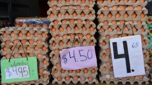 La inflación tuvo una leve baja en noviembre