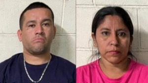 Decomisan 2 kilos de cocaína a red que envía droga como encomiendas a Estados Unidos