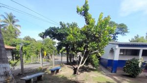 Comunidades urgen la construcción de muro en escuela de San Miguel