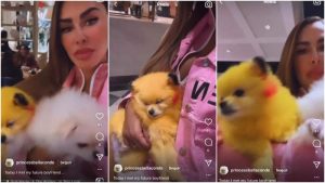 Ninel Conde muestra perrito pintado de Pikachu y fans se la acaban