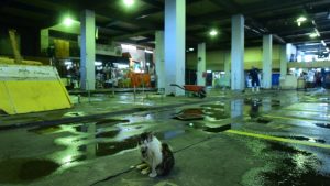 Así son los puestos del mercado Tinetti donde serán reubicados los vendedores del centro