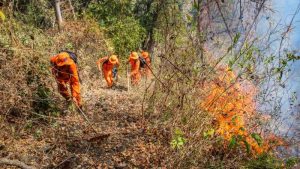 Se registra incendio en área protegida en Las Moritas, San Miguel