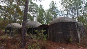 La misteriosa casa abandonada en un bosque en Dulce Nombre de María