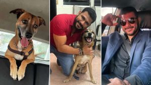 Federico Zeledón resulta herido en ataque de pitbull y busca al dueño del animal