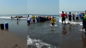 Reportan vuelco de lancha de la Fuerza Armada en Metalío