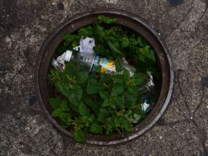 helecho crece entre la basura de san salvador