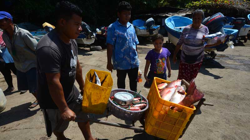 Los pescadores se quejan de los bajos precios con el que alcanzan a vender sus productos. Foto EDH Yessica Hompanera
