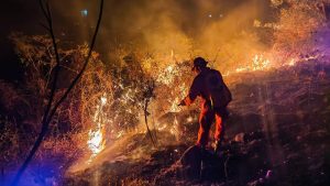 Incendios en maleza seca aumentan un 73% en 2023