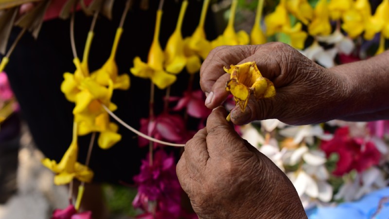 Festival de Flores y Palmas de Panchimalco 2023