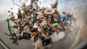 Microplásticos en el océano