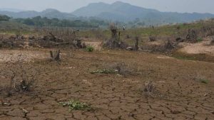 Por grieta en represa: El Chaparral provocó un "desierto" en el río Torola