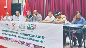 Agricultores advierten que la semilla de maíz que entregó el  MAG “no les ha funcionado”