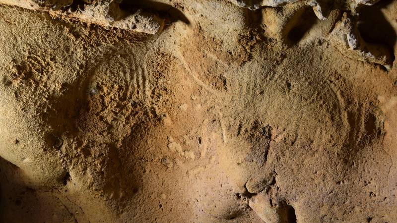 Une grotte en France abrite les plus anciennes gravures de Néandertal