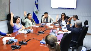 DOM podrá transferir inmuebles y sus empresas no pagarán impuestos de importación
