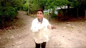 Periodista de Univisión