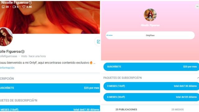 Fans de Nicolle Figueroa amenazan con dejar de seguirla - Noticias de