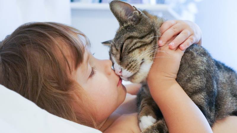 Hay que evitar que los niños besen en la trompa a sus mascotas