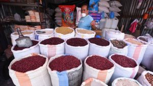 Productores conocen las semillas mejoradas de frijol, sorgo, yuca y ejote, que estarán disponibles para la siembra a partir de 2026.