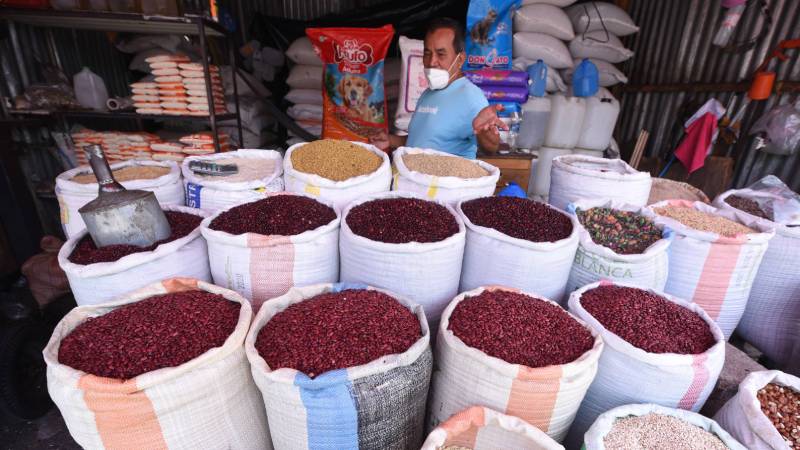 Productores conocen las semillas mejoradas de frijol, sorgo, yuca y ejote, que estarán disponibles para la siembra a partir de 2026.