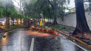 VIDEOS - FOTOS: Inundaciones, árboles caídos y casas dañadas por fuertes lluvias en diferentes puntos del país