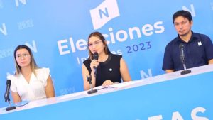 Elecciones nuevas ideas