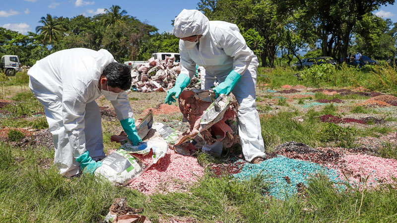 Foto del MAG publicada en redes sociales que muestra a personal con mascarillas manipulando los sacos deteriorados de semilla de maíz tratada con insecticidas. En las fotos publicadas por el MAG no se muestran los sacos en con el logo del actual gobierno de Nayib Bukele. Foto MAG