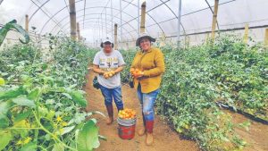 Unión Europea y FAO apoyan 200 emprendimientos de huertos caseros en corredor seco del país