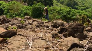 Economistas: El Salvador carece de capacidad financiera para afrontar los efectos de El Niño