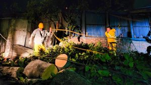 Dos personas heridas tras caer árbol sobre su vivienda en San Jacinto