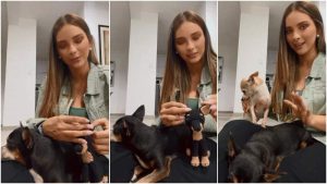 Irene Castillo y sus mascotas