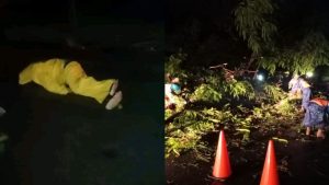 Motociclista muere al caerle un árbol en San Luis Talpa