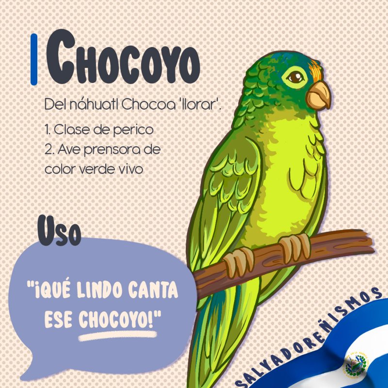 Imagen ilustrativa del salvadoreñismo "chocoyo"