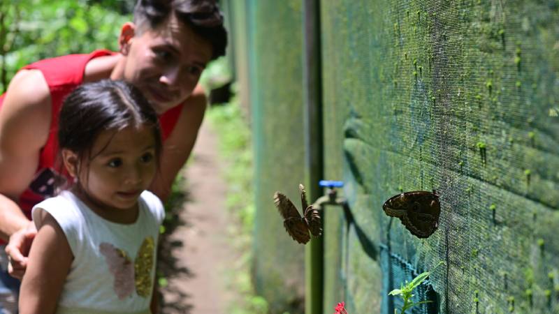 Mariposario Alas y Flores