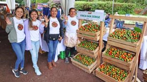 Feria de Jocote de Corona en el Cerro Verde