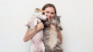 Evita sanciones y sigue estos consejos para cuidar a tus mascotas
