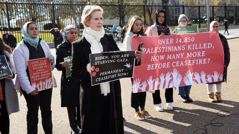 Cynthia Nixon huelga de hambre por alto al fuego en Gaza.