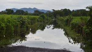 Puerto-Parada-Usulutan15