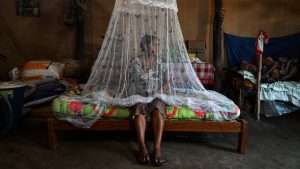 dengue peru