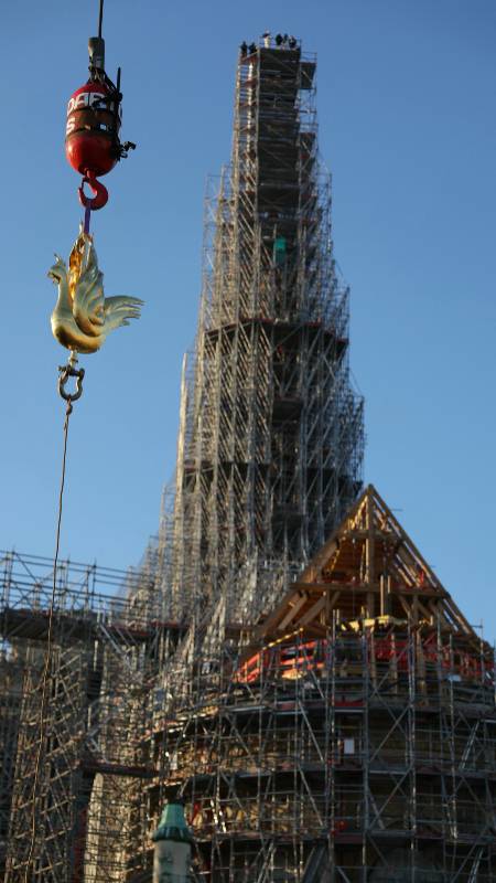 Colocan nuevo gallo en Notre Dame en París