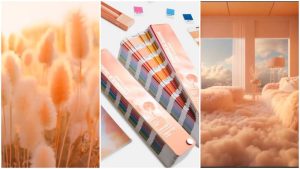 Instituto Pantone elige el Peach Fuzz como color de 2024
