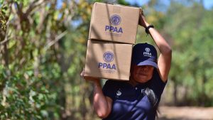 Programa presidencial de apoyo alimentario ppaa propaganda elecciones 2024