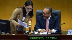 Ernesto Castro Suecy Callejas