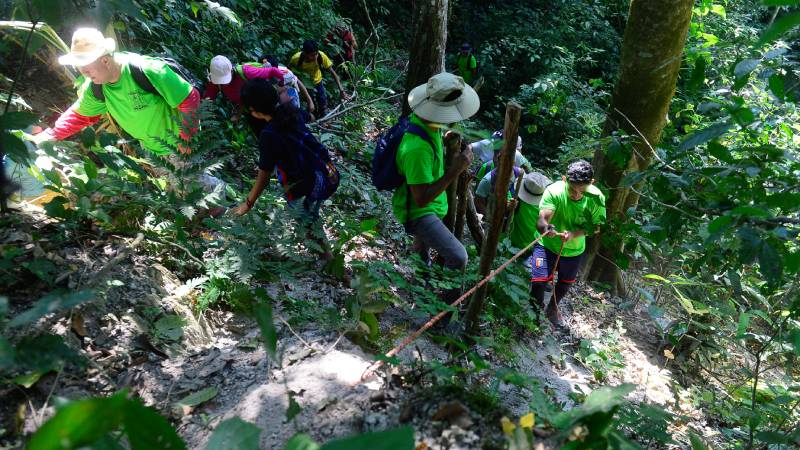 Durante el viaje las personas disfrutarán de la flora y la fauna. Foto EDH/ Lissette Monterrosa