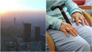 Alzheimer- contaminación